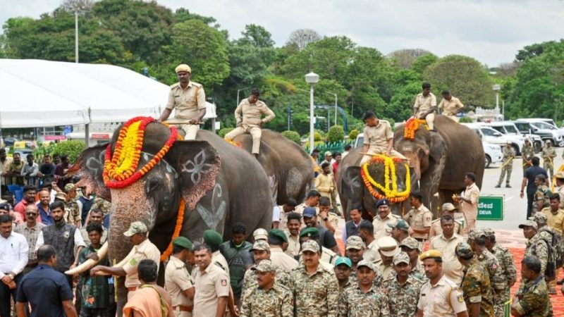 Karnataka elephants to andhra pradesh