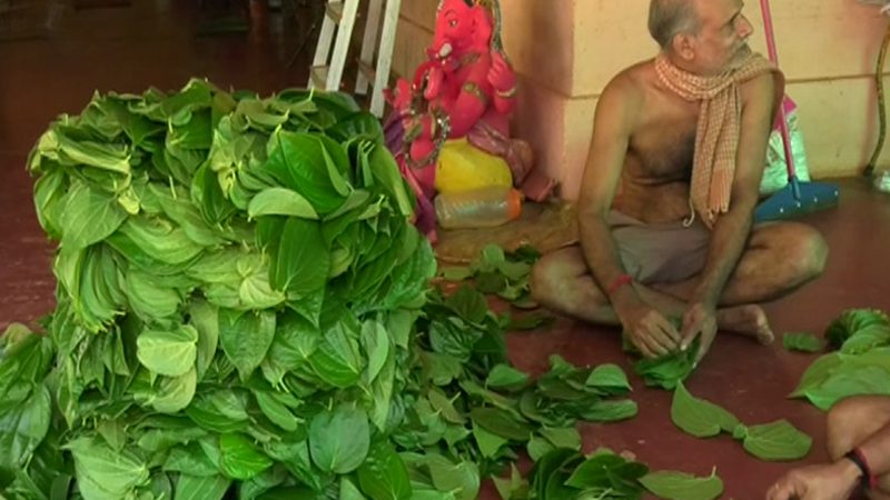 Karwar Betel 3
