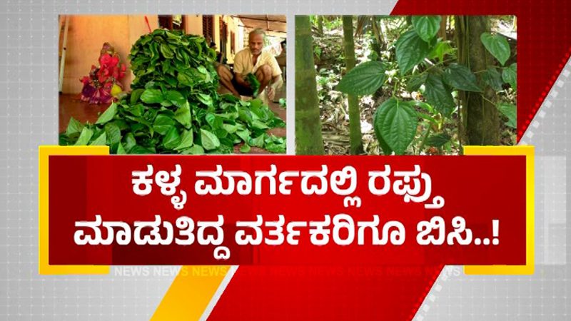 Karwar Betel 4
