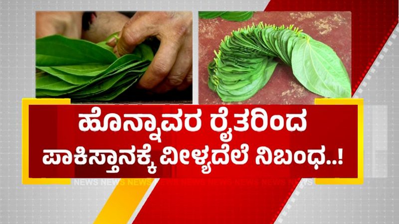Karwar Betel 5
