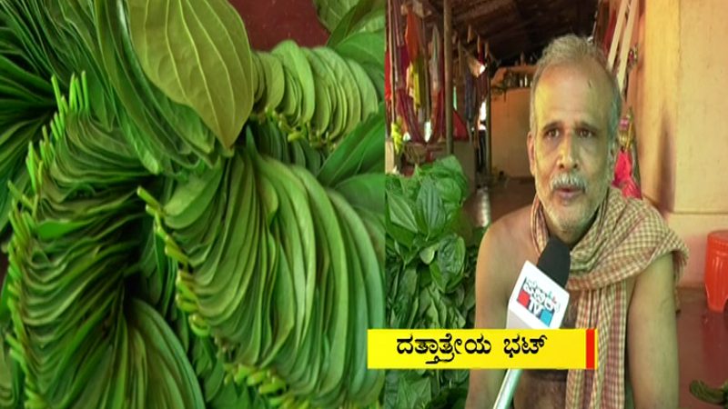 Karwar Betel