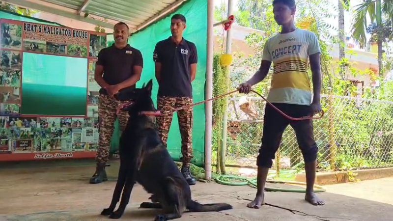 Karwar Dog 2