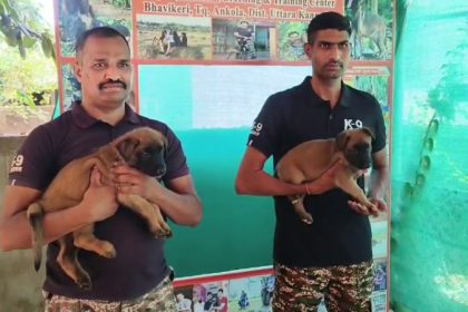 Karwar Dog 3