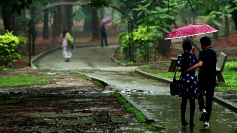 LOVE Rain