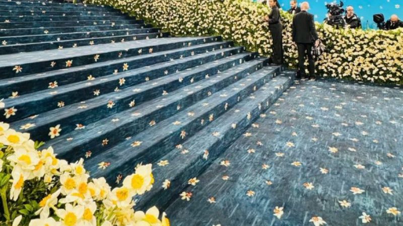 Met Gala Blue Carpet
