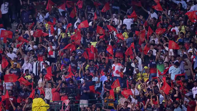 RCB Fans
