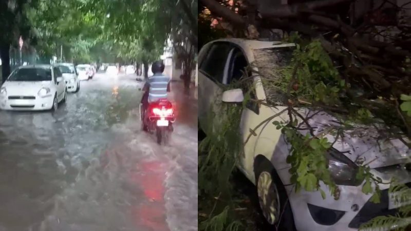 Rain 1
