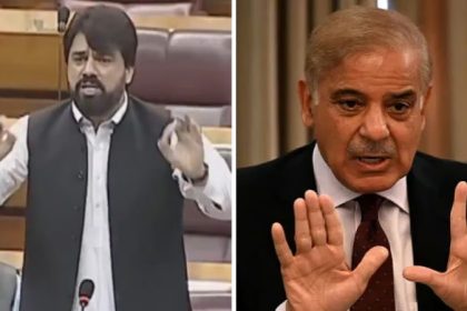 Shehbaz Sharif and pakistani MP