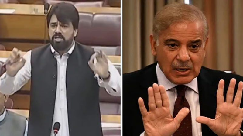 Shehbaz Sharif and pakistani MP
