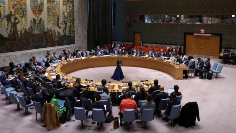 UN Security Council