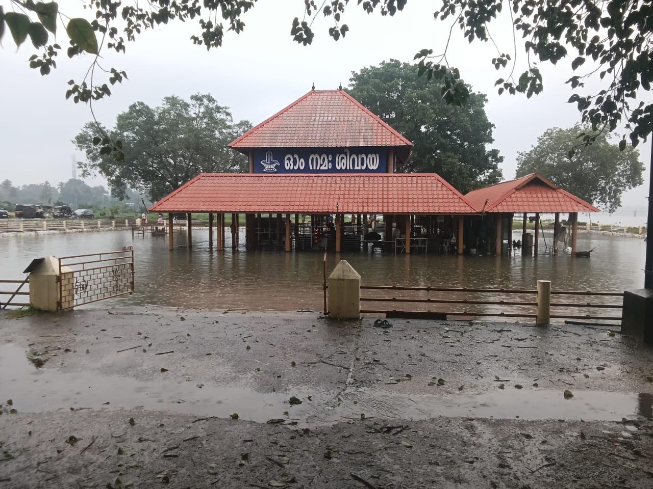 WhatsApp Image 2025 05 30 at 10.11.18 AM