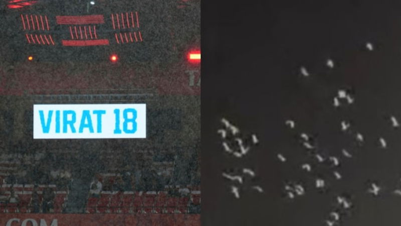 White pigeons fly over Chinnaswamy as rain delays RCB vs KKR Natures tribute to Virat Kohli Chinnaswamy Stadium Bengaluru