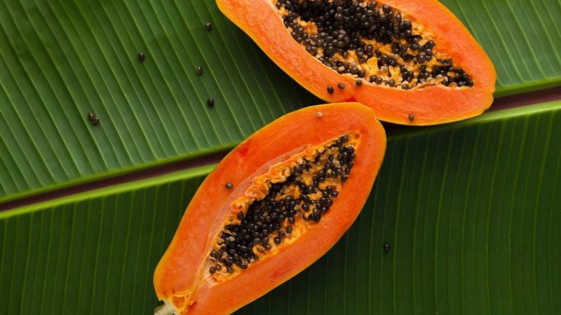 papaya