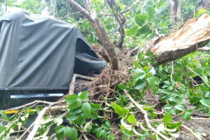 tree falls in chikkamagaluru koppa auto damaged one dead