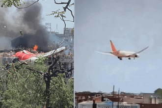 Air India Bird Hit Ahmedabad Plane Crash