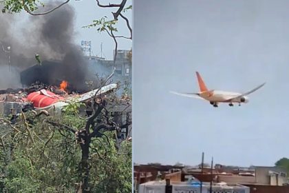 Air India Bird Hit Ahmedabad Plane Crash