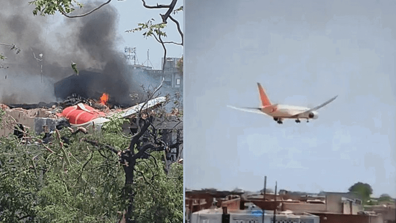 Air India Bird Hit Ahmedabad Plane Crash