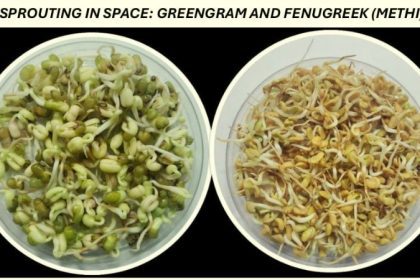 Axiom Mission 4 seeds will sprout in space Dharwad Agricultural University greengram and Fenugreek Shubanshu Shukla ISRO