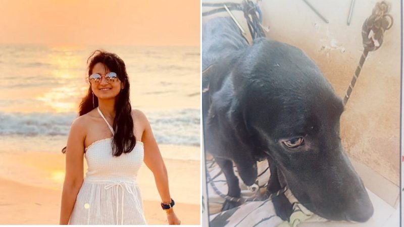 Bengaluru Dog Murder
