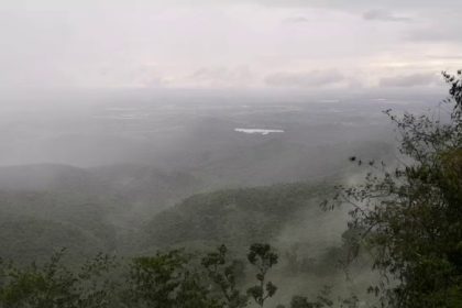 Biligiriranga hills