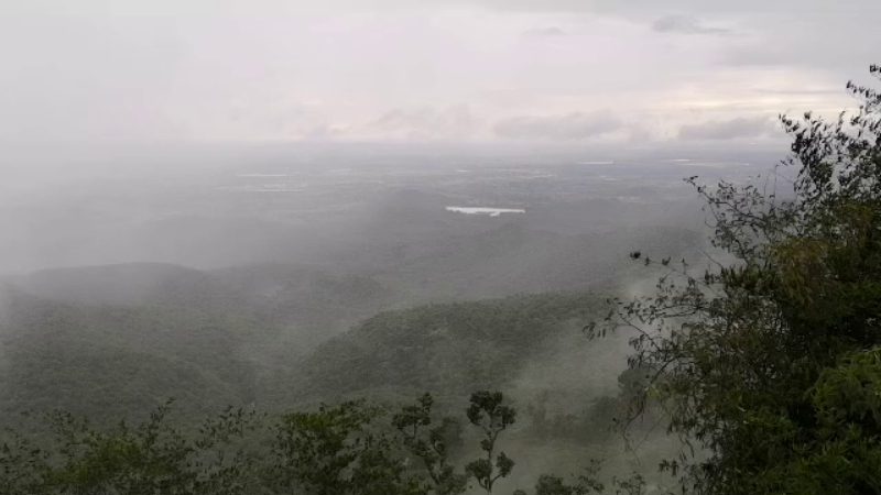 Biligiriranga hills