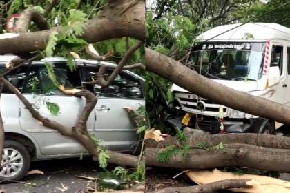 CM Siddaramaiah Residence Tree Fall