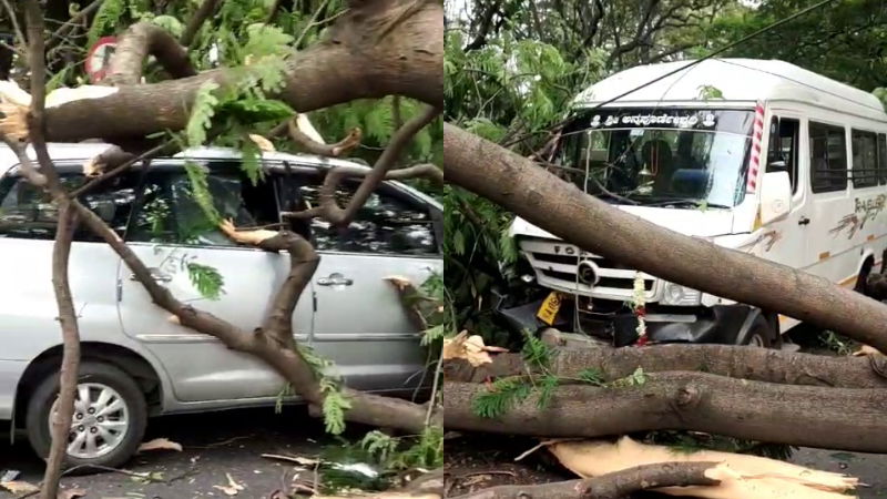 CM Siddaramaiah Residence Tree Fall