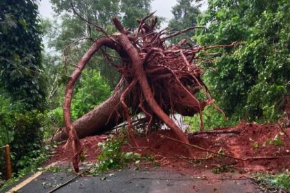 Chikkamagaluru Road Closed