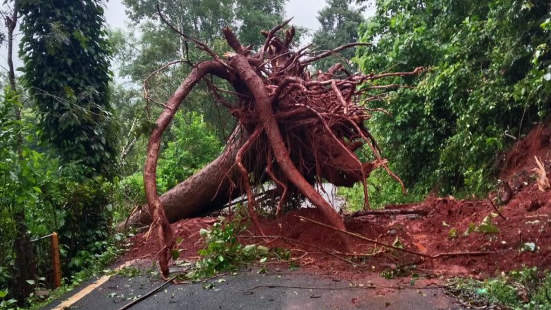 Chikkamagaluru Road Closed