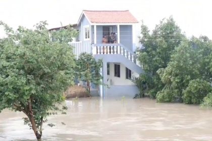 Dharwad Family Rescue