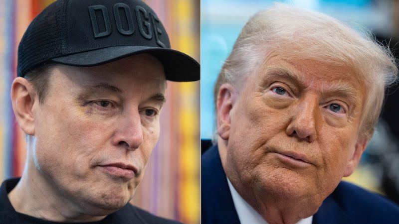 Elon Musk Trump