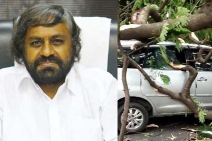 Eshwar Khandre issues notice to remove dangerous trees and branches in Bengaluru