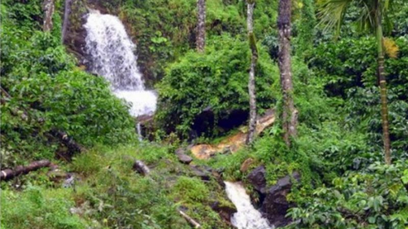 Falls
