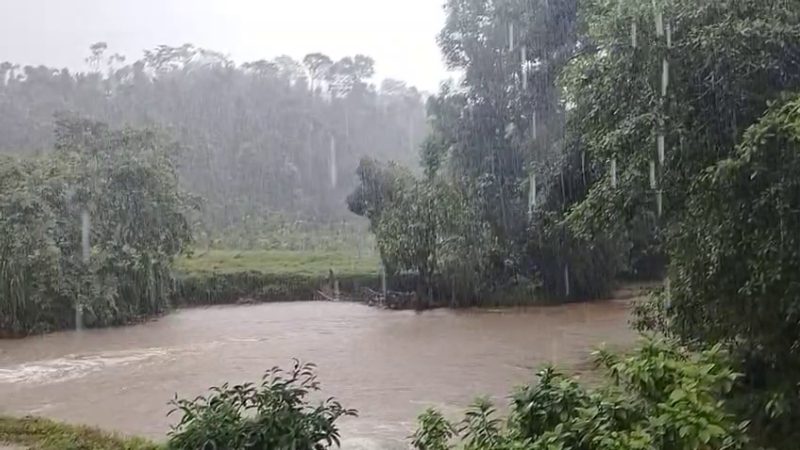 Hassan Rain