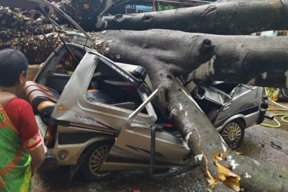 Huge tree falls on tourists car in Kallatthagiri