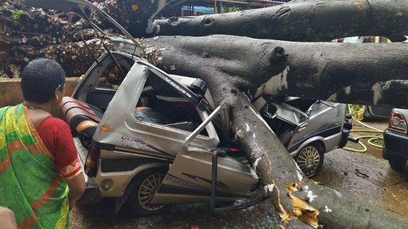 Huge tree falls on tourists car in Kallatthagiri
