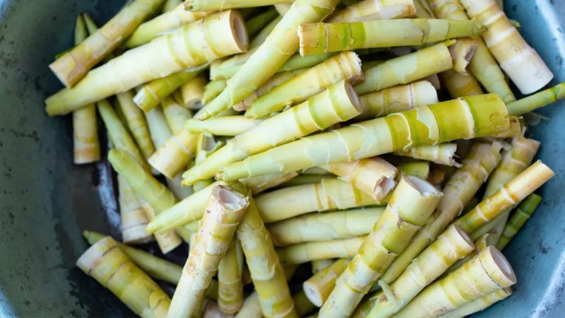 Kalale
