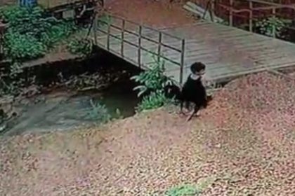 Karwar Child Falls Into Canal