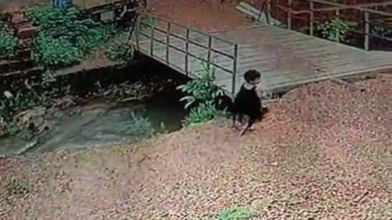 Karwar Child Falls Into Canal