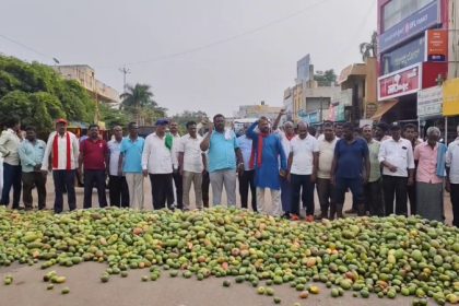 Kolar Srinivaspur Bandh Mango Price Drop