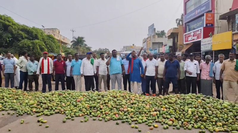 Kolar Srinivaspur Bandh Mango Price Drop