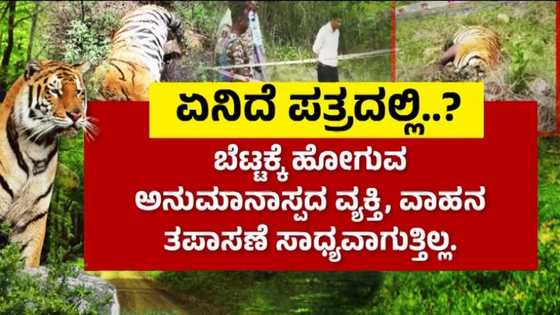 Male Mahadeshwar Tiger Death 3