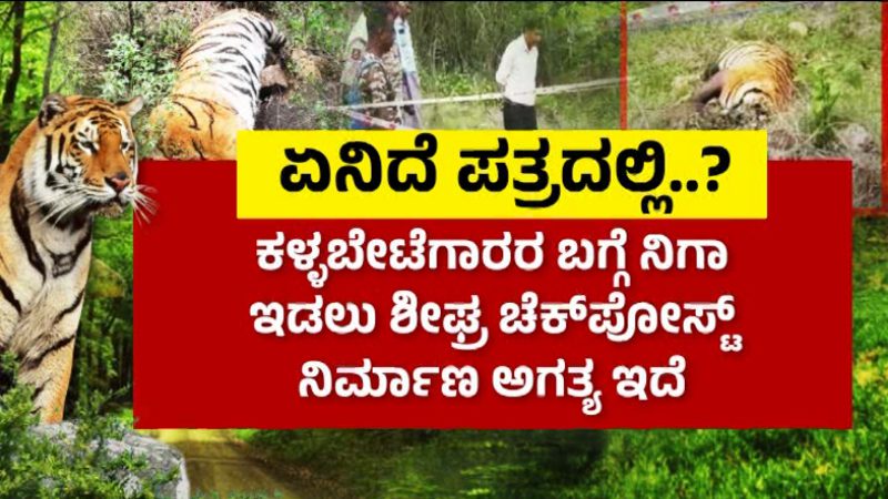Male Mahadeshwar Tiger Death 4