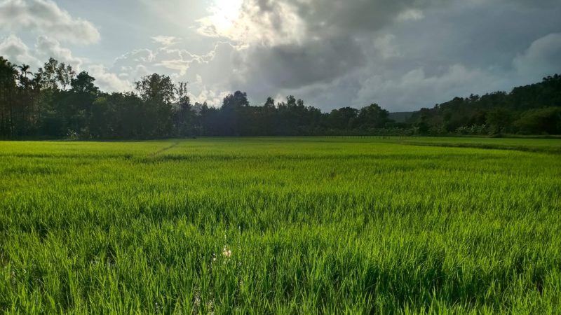 Malenadu Trekking 1