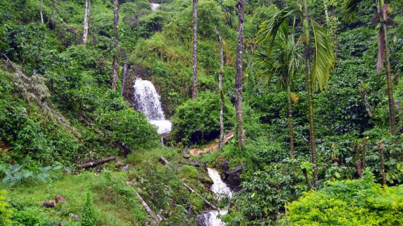 Malenadu Trekking 2