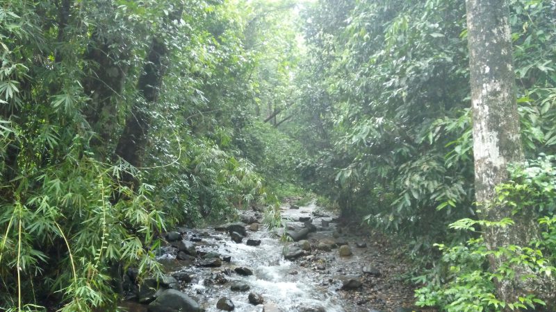 Malenadu Trekking 3