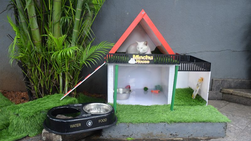 Mangaluru Forum Mall White Cat 1