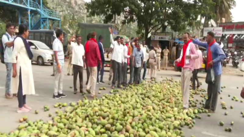 Mango Farmers Protest Kolar