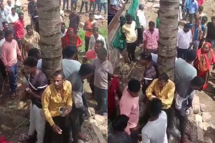 Sri Rama Sena activists tied to a tree and attacked for trying to protect cows hukkeri