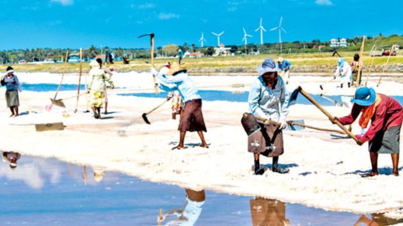 Srilanka Salt Crisis 2
